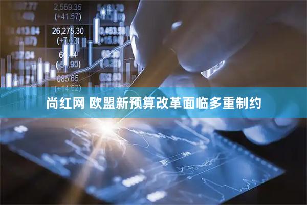 尚红网 欧盟新预算改革面临多重制约
