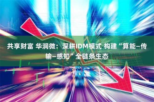 共享财富 华润微：深耕IDM模式 构建“算能—传输—感知”全链条生态