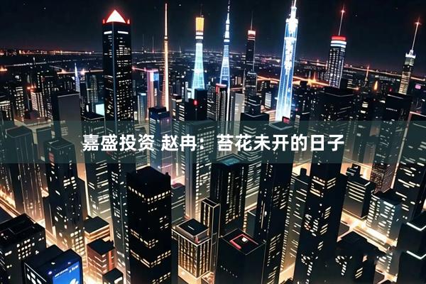 嘉盛投资 赵冉：苔花未开的日子