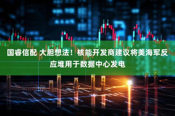 国睿信配 大胆想法！核能开发商建议将美海军反应堆用于数据中心发电