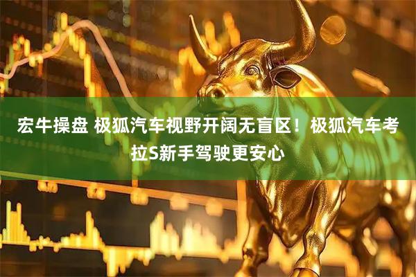宏牛操盘 极狐汽车视野开阔无盲区！极狐汽车考拉S新手驾驶更安心