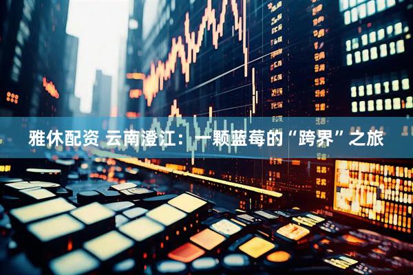 雅休配资 云南澄江：一颗蓝莓的“跨界”之旅